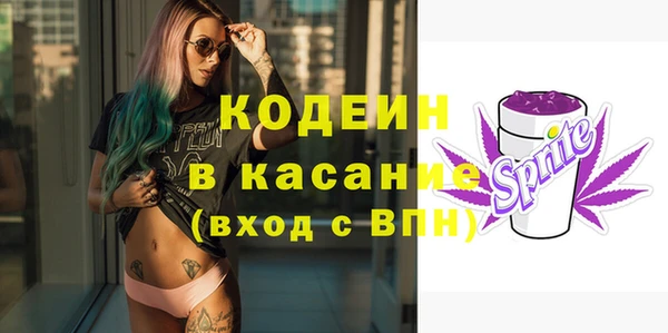 соль ск Гусиноозёрск