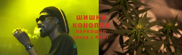 соль ск Гусиноозёрск