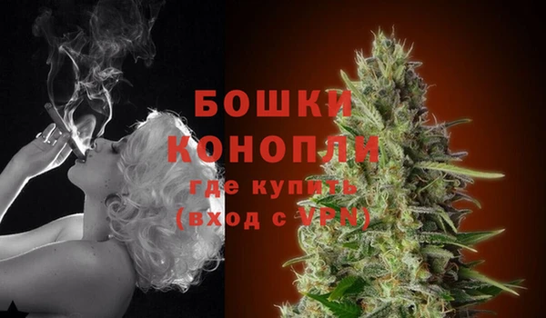 соль ск Гусиноозёрск