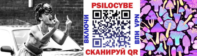 закладка  Омутнинск  Псилоцибиновые грибы Psilocybine cubensis 